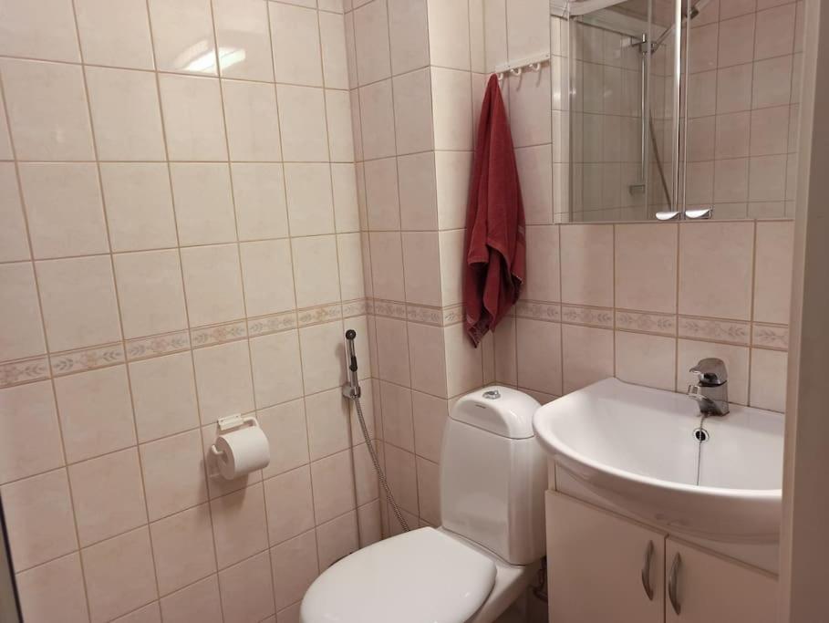 Cosy Loft Lägenhet Helsingfors Exteriör bild